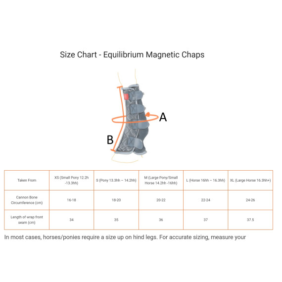 Terapi Magnet-belegg Equilibrium