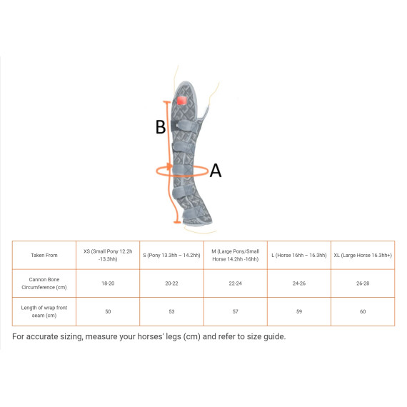 Terapi Magnet-belegg hase & bakben Equilibrium