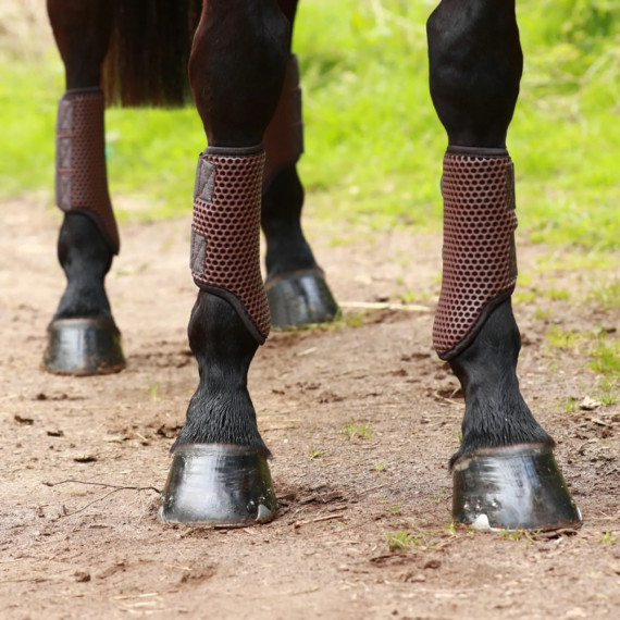 Equilibrium Tri-Zone Brushing Boots BRUNE