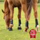 Equilibrium Tri-Zone Brushing Boots HVITE