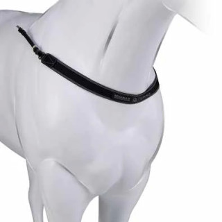 Acavallo Single Elastic Breastplate - Svart