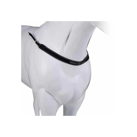 Acavallo Single Elastic Breastplate - Svart